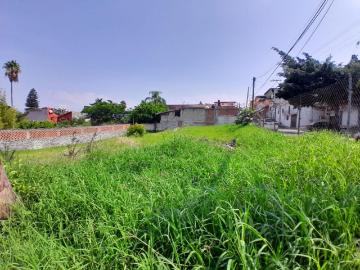 Terreno Urbano en Tres de Mayo, Emiliano Zapata, Morelos