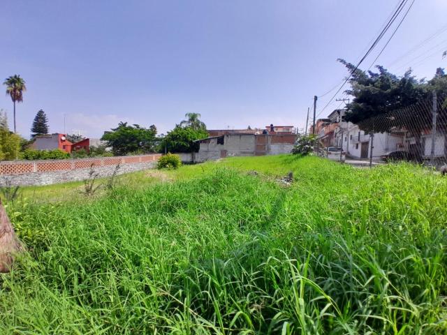 Terreno Urbano en Tres de Mayo, Emiliano Zapata, Morelos