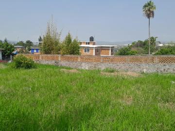 Terreno Urbano en Tres de Mayo, Emiliano Zapata, Morelos