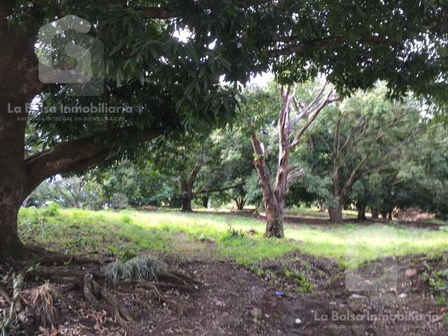 Terreno urbano en venta con frente a avenida Guti?rrez Zamora