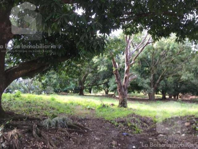 Terreno urbano en venta con frente a avenida Gutiérrez Zamora