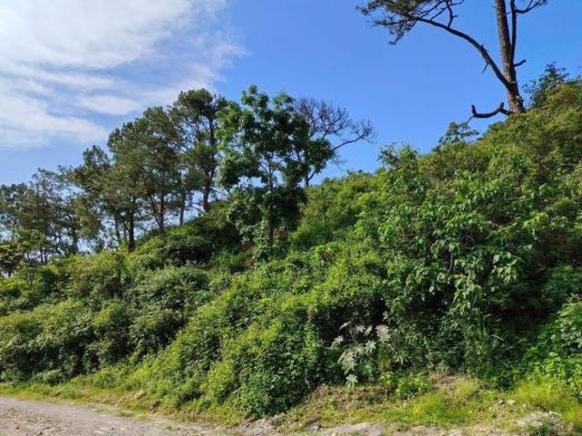 TERRENO URBANO EN VENTA EN SAN SEBASTIAN DEL OESTE