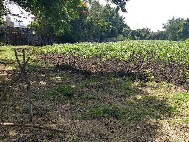Terreno Urbano en Campo el Marqu?s, Yautepec, Morelos