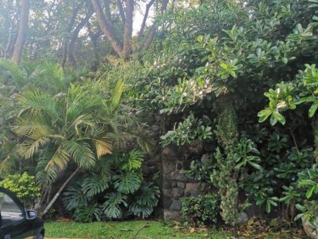 Terreno Urbano en Lomas de Cuernavaca Temixco MAZ 74 Tu