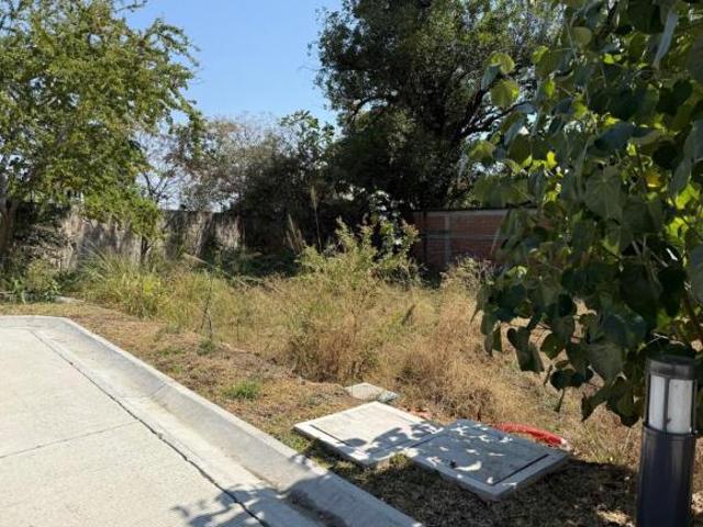 Terreno Urbano en Palmira, Cuernavaca