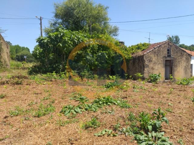 Terreno urbano. Excelente oportunidade para investidores