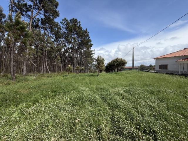 Terreno urbano na Foz do Arelho uma oportunidade única na Costa de Prata
