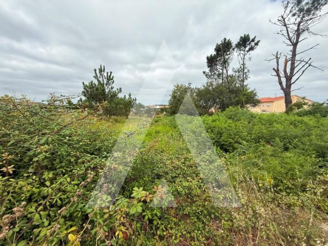 Terreno Urbano na Marinha Grande