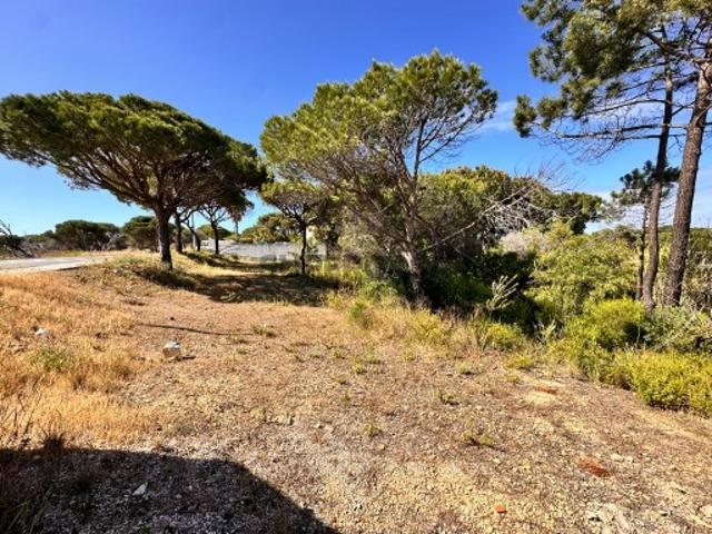 Terreno urbano na prestigiada Quinta do Lago
