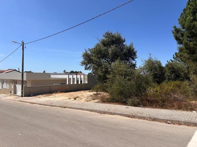 Terreno Urbano na Quinta da Marquesa – Quinta do Anjo, Construa o Seu Sonho!