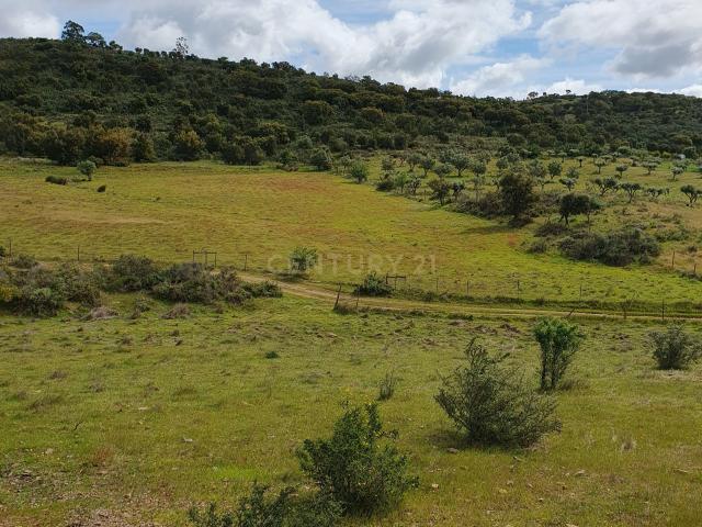 Terreno Urbano na Serra D`Ossa Redondo