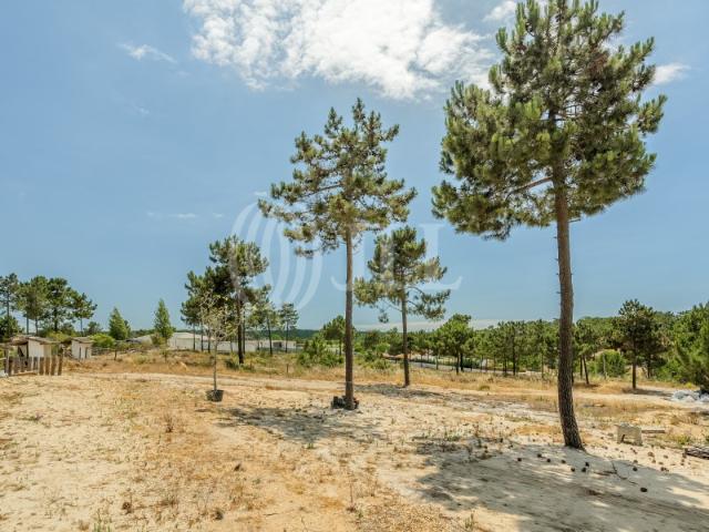 Terreno urbano nas Casas da Colina, Lagoa Formosa