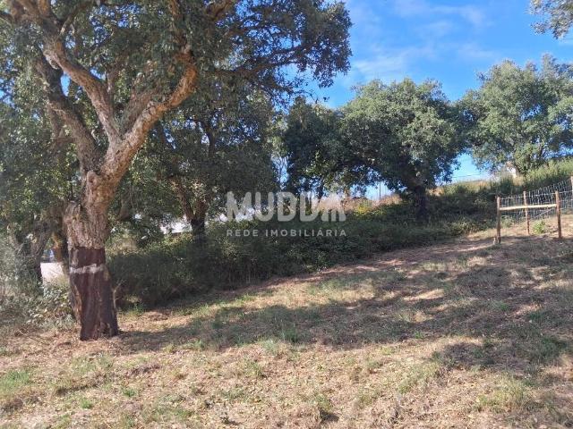 Terreno urbano para moradia T4 | A dos Negros – Óbidos