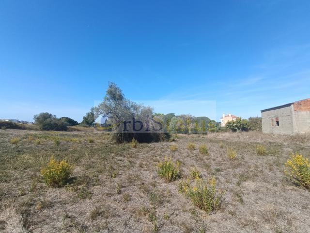 Terreno urbano para construção Venda Nova Sesimbra