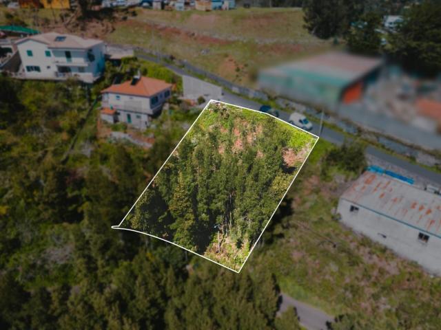 Terreno Urbano para Construção – Camacha