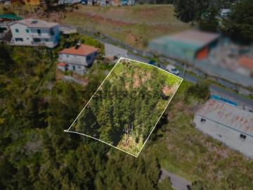 Terreno Urbano para Construção Camacha