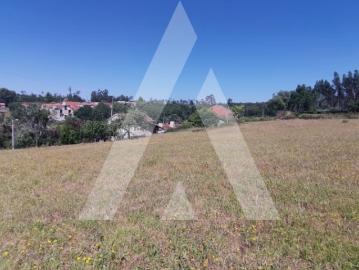Terreno Urbano para Construção de Moradia nas Frias Albergaria a Velha