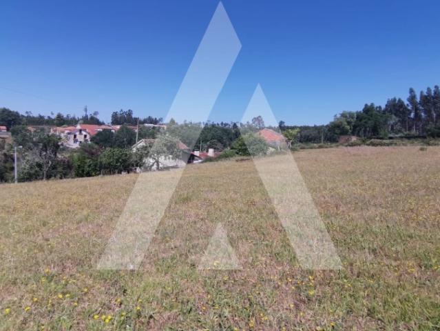 Terreno Urbano para Construção de Moradia nas Frias Albergaria a Velha