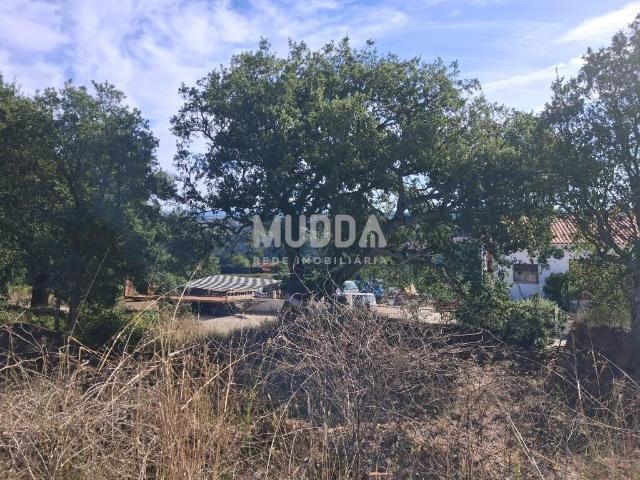 Terreno Urbano para Construção de Moradia T3 | 590 m² | A dos Negros, Óbidos