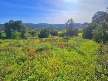 Tôr, Querença Tôr e Benafim, Loulé, Distrito de Faro, Algarve