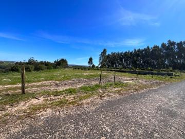 Terreno Urbano para Construção em Vidais, Caldas da Rainha 20.703 m² de Natureza e Potencial