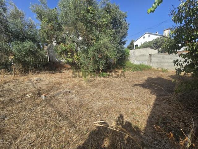 Terreno Urbano para Construção em Abrantes