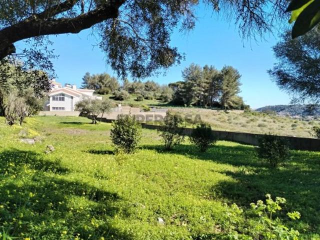 Terreno Urbano com Alvará de Loteamento | Lugar do Carrascal, Sintra