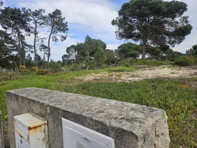 Terreno Urbano para Construção na Lagoa de Albufeira | Entre o Pinhal e o Mar, construa a moradia dos seus sonhos