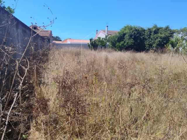Terreno Urbano para Construção | Santo André, Vagos