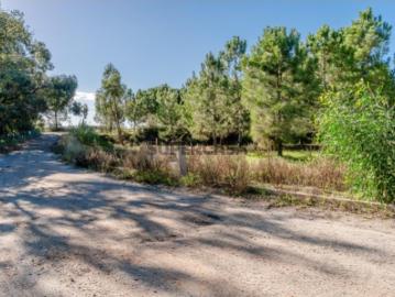 Terreno Urbano para Construção, Santo António da Charneca, Barreiro