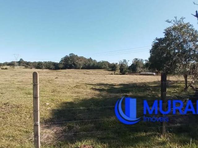 terreno urbano para construção de pavilhão