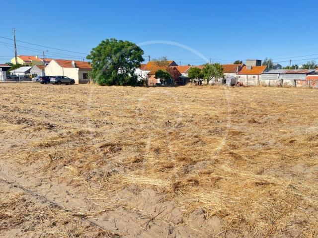 Terreno Urbano para Investimento no Montijo | 22.512 m²