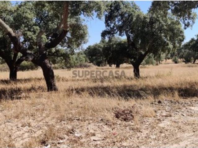 Terreno para loteamento em Grândola Viver entre a serra e o mar