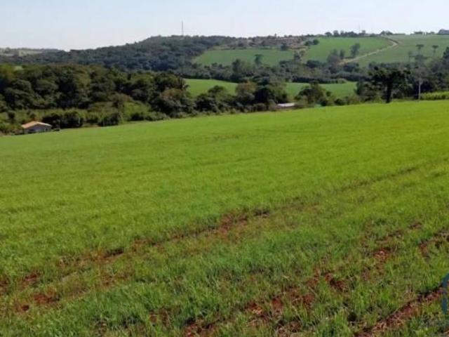 TERRENO URBANO para loteamento de CHÁCARAS 133.100 mts, em TAMARANA PR
