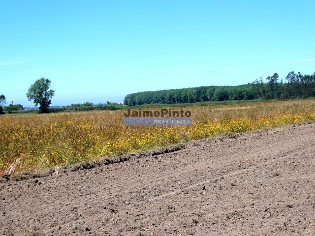 Terreno urbano para lotear destinado a 40 MORADIAS. Portugal, Aveiro, Ovar