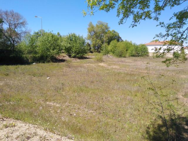 Terreno Urbano para Recuperação em Escalos de Cima, Castelo Branco