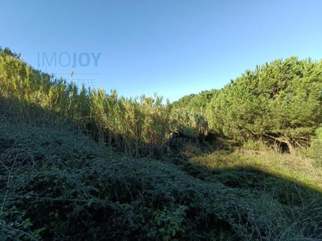 Terreno Urbano para Venda na Trafaria em Almada