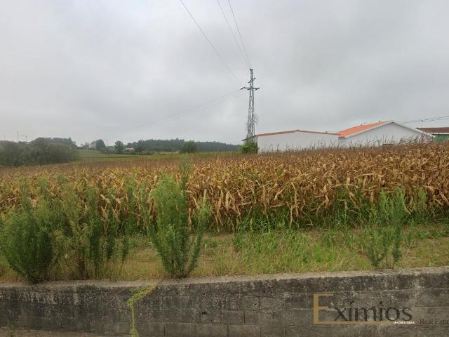 Terreno Urbano, para venda, em Aveleda