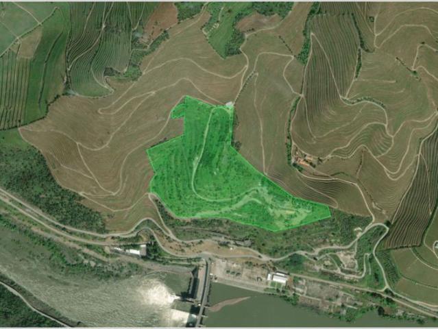 Terreno urbano, para venda, Peso da Régua Canelas