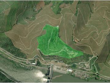 Terreno urbano, para venda, Peso da Régua Canelas