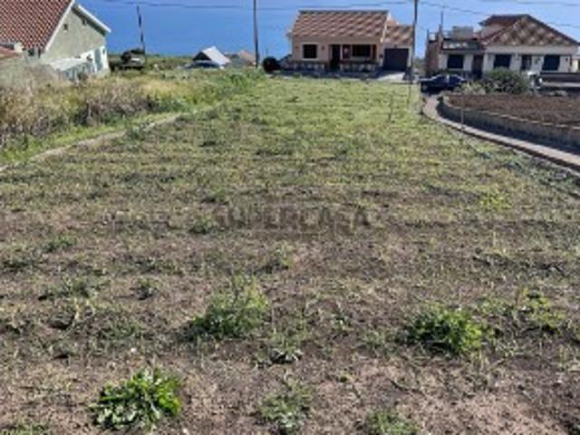 Terreno Urbano Plano à Venda em Ponta do Sol