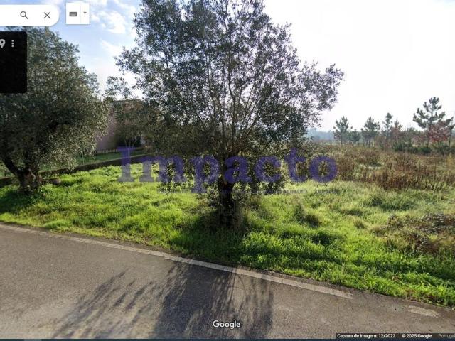 Terreno urbano, plano em Anadia Aveiro