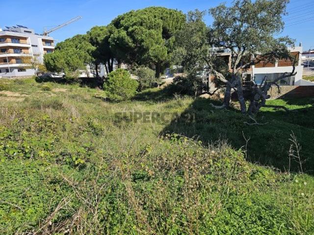 Terreno Urbano Quinta da Amizade