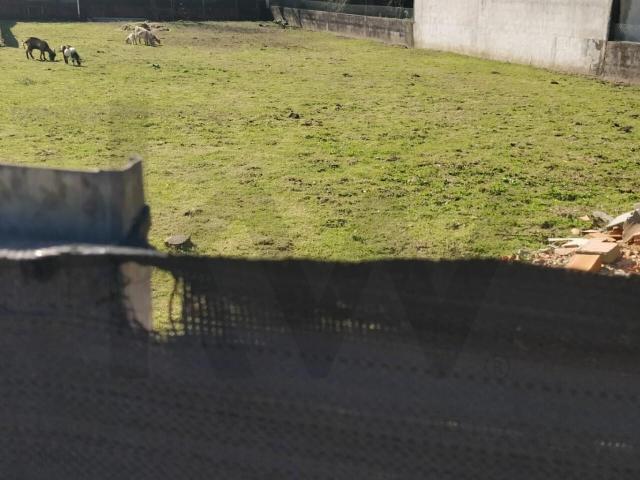 Terreno urbano São Vicente Pereira