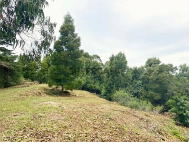 Terreno Urbano, Sintra Lisboa, 8.385 m2