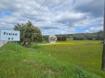 Terreno Urbano com 956m2 localizado na Aldeia do Freixo, concelho de Redondo, Évora