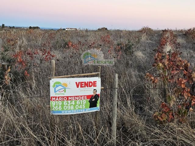 Terreno urbano situado em Reguengos de Monsaraz