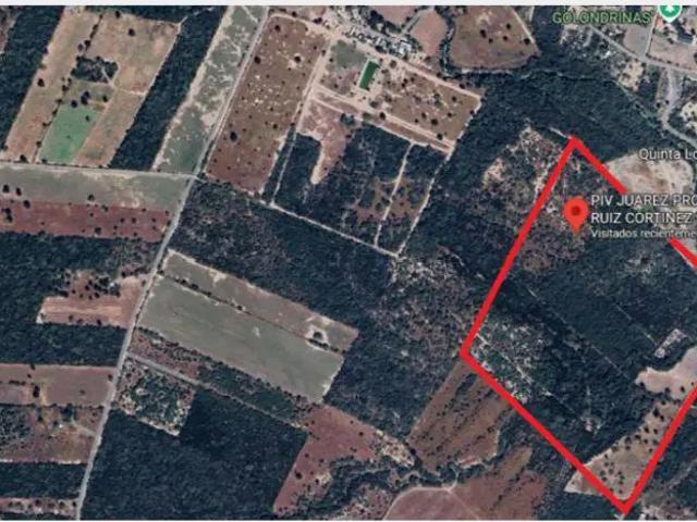 TERRENO USO COMERCIAL INDUSTRIAL ZONA KIA PESQUERIA JUAREZ RENTA