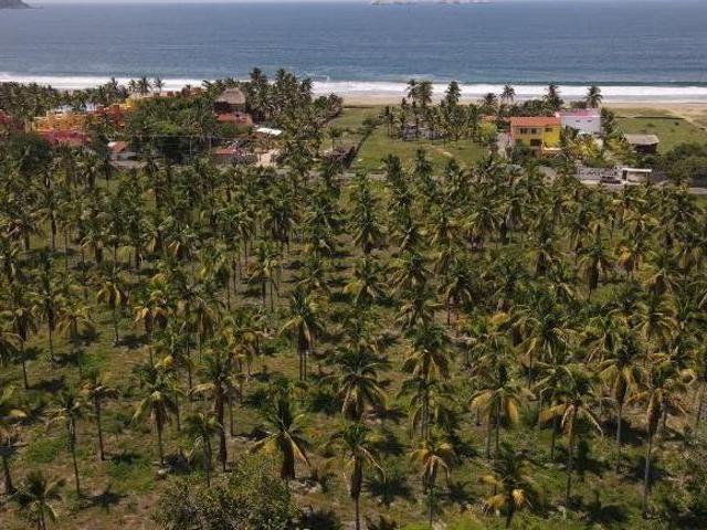 Terreno uso de suelo mixto, cerca de Ixtapa Zihuatanejo
