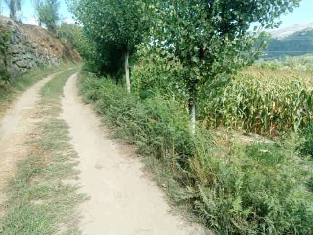 Terreno Valbom S. Martinho